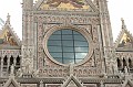 Siena 20